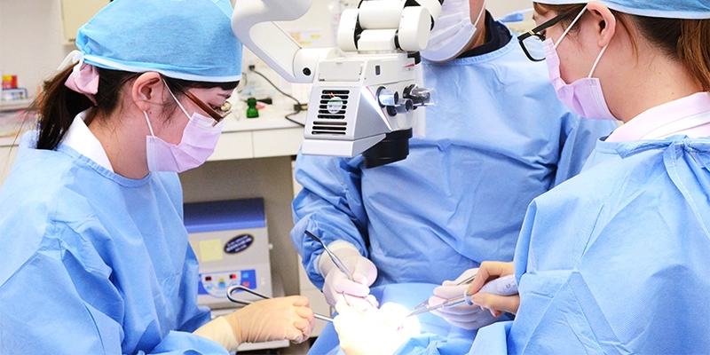 インプラントからオールオン4まで 専門医による適切な治療対応